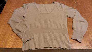 Volledig nieuwe trui beschikbaar voor biedingen