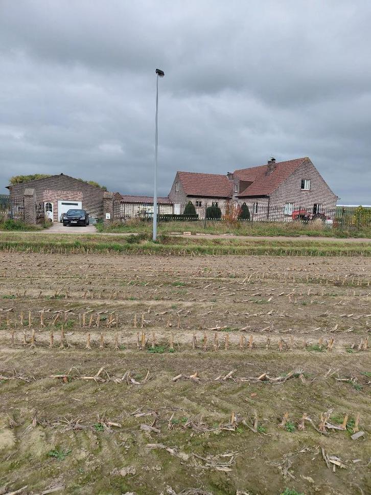 te huur, Immo, Huizen te huur, Provincie Oost-Vlaanderen, Vrijstaande woning, Direct bij eigenaar