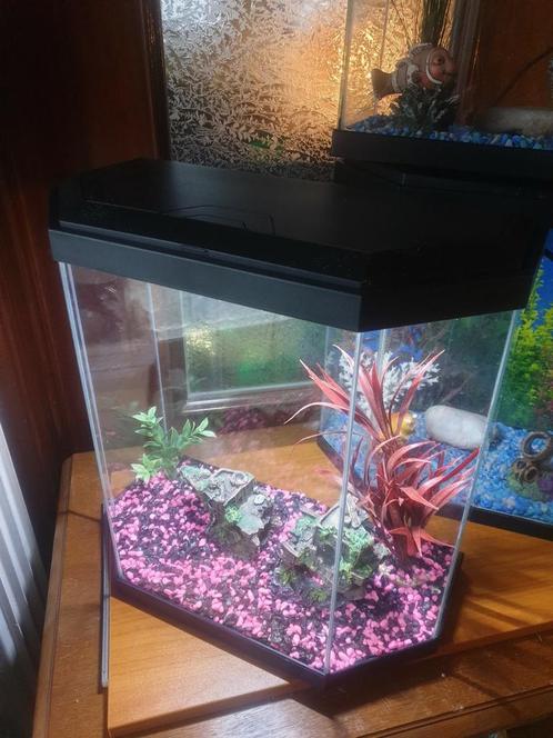 Épuisettes pour poissons - Accessoires Aquarium - Achat / Vente