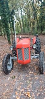 Tractor Massey ferguson tef 20 diesel, Zakelijke goederen, Ophalen, Oldtimer, Massey Ferguson