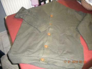 Bruin-beige vest (L.) beschikbaar voor biedingen