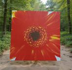 Wanddecoratie bloem voor huis, tuin, terras..., Huis en Inrichting, Ophalen of Verzenden, Nieuw