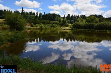 land 3 Ha met meer 5.500 m2  te koop beschikbaar voor biedingen