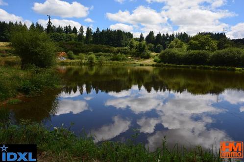 land 3 Ha met meer 5.500 m2  te koop, Immo, Buitenland, Frankrijk, Kavel of Perceel, Landelijk