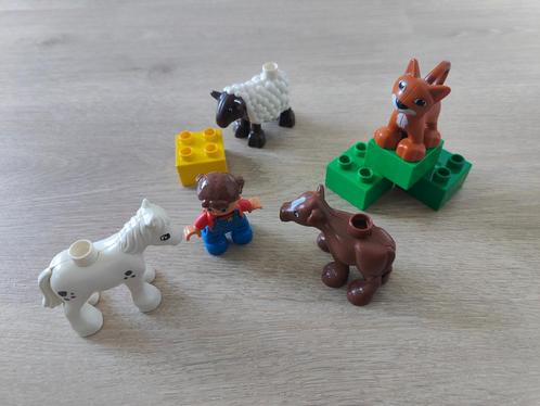 Duplo 5646 - Dierenverzorging, Kinderen en Baby's, Speelgoed | Duplo en Lego, Zo goed als nieuw, Duplo, Complete set, Ophalen