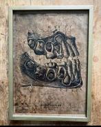 Lot de 7 gravures médicales et scientifiques, Ophalen of Verzenden