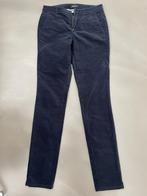Blauwe fluwelen broek Massimo Dutti maat 34, Kleding | Dames, Massimo Dutti, Blauw, Ophalen of Verzenden, Zo goed als nieuw