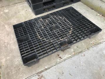 55 Plastiek paletten 80x120cm beschikbaar voor biedingen