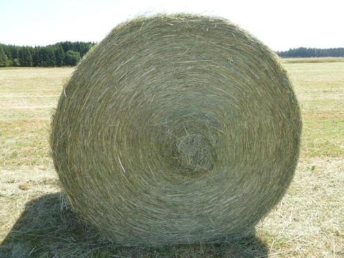 FOIN BIO 2023 SEC EN BOULE 360KGS EMBALLE, Dieren en Toebehoren, Dierenvoeding, Vee, Ophalen