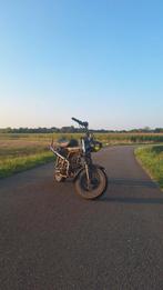 Dax 50 cc, Enlèvement ou Envoi