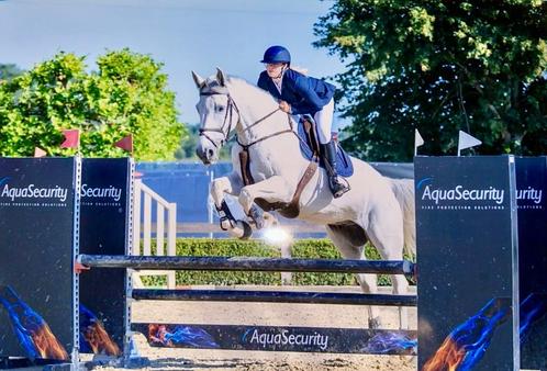 Ruiter aangeboden, Dieren en Toebehoren, Paarden en Pony's | Overige Paardenspullen, Ophalen