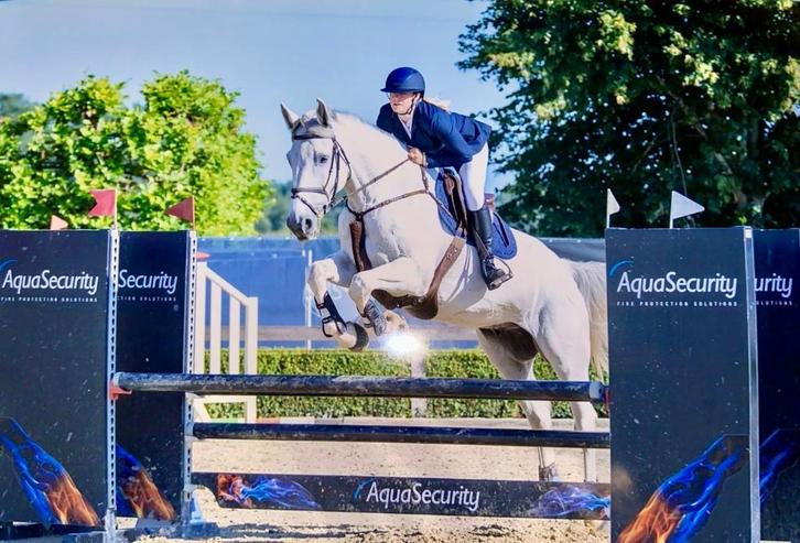 Ruiter en trainer aangeboden, Dieren en Toebehoren, Paarden en Pony's | Overige Paardenspullen, Ophalen