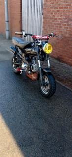 Dax 50cc, Fietsen en Brommers, Brommers | Derbi, Ophalen, Zo goed als nieuw