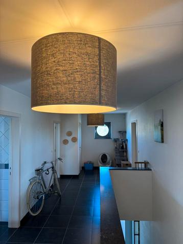 Plafond- en hanglampen beschikbaar voor biedingen
