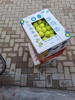 lot de 100 balles de tennis( 1caisse), Enlèvement ou Envoi, Utilisé, Balles, Wilson