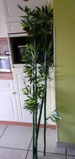 4 gram bamboe 1m70, Huis en Inrichting, Ophalen