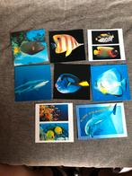 Cartes postales fonds marins poissons