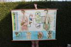 Vintage schoolkaart, Antiek en Kunst, Natuur en Biologie, Ophalen