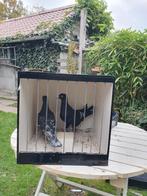 Kleur vliegpostduiven in toy en strill stencel, Dieren en Toebehoren, Vogels | Hokken en Kooien, Ophalen, Zo goed als nieuw
