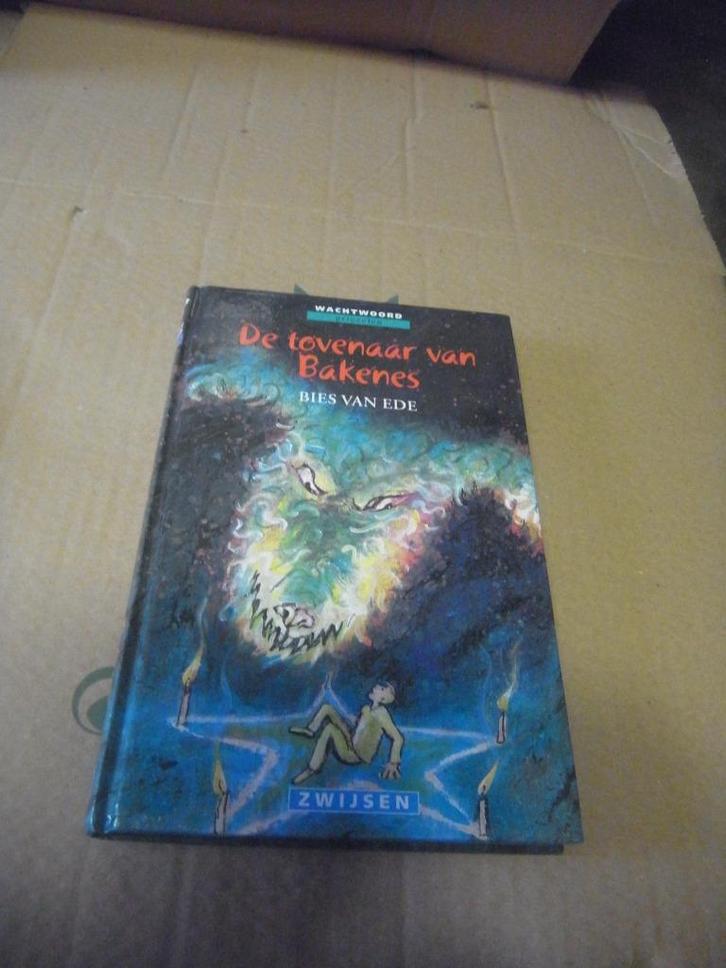 boek de tovenaar van Bakenes, Boeken, Kinderboeken | Jeugd | onder 10 jaar, Zo goed als nieuw, Ophalen of Verzenden