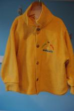 2 jaar vest, Ophalen of Verzenden, Gebruikt, Jongen, Trui of Vest