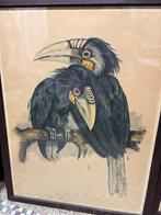 Schetsbord gemaakt in potlood en pastel, Ophalen of Verzenden