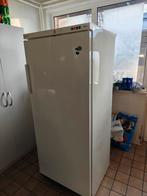 Diepvries kast, Bauknecht,nog in goede staat, Elektronische apparatuur, Vriezers en Diepvrieskisten, Ophalen