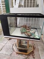 aquarium, Dieren en Toebehoren, Ophalen, Gebruikt, Leeg aquarium
