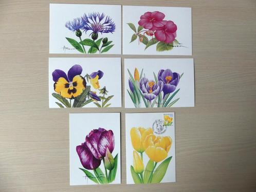 6 maximumkaarten Buzin : Bloemen, Postzegels en Munten, Postzegels | Europa | België, Ophalen of Verzenden