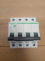Installatieautomaat 4P Laagspanning - Schneider - NIEUW, Ophalen of Verzenden, Nieuw