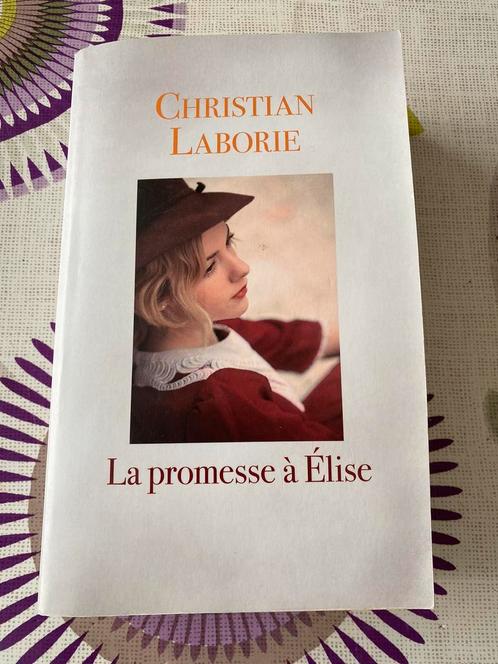 La Promesse à Elise / Christian Laborie, Livres, Romans