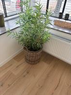 Kunststof plant met rieten bak, Enlèvement, Comme neuf, Synthétique