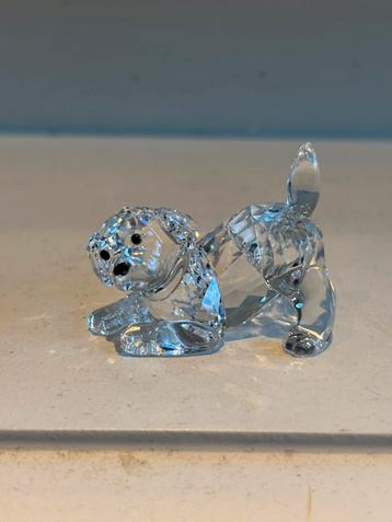 Swarovski puppy  beschikbaar voor biedingen