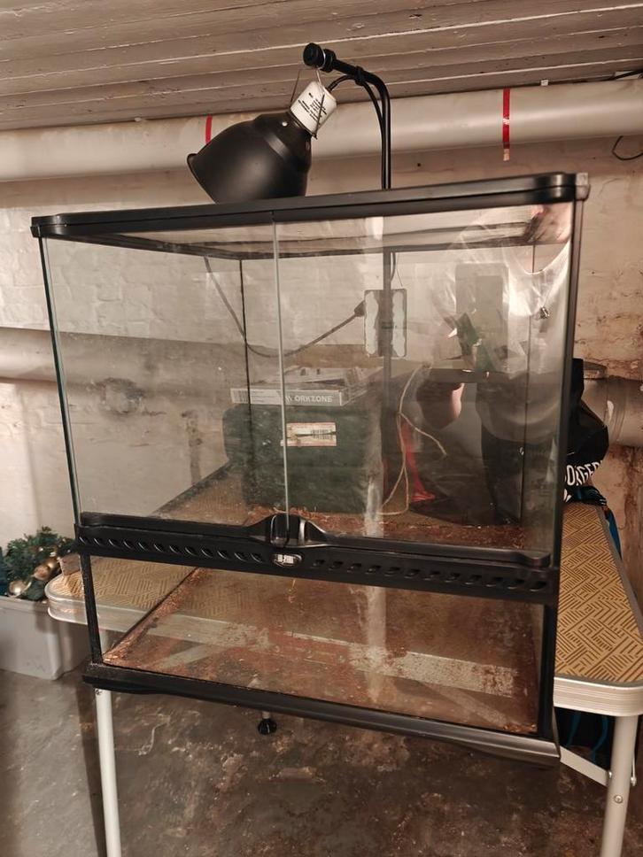 Exo Terra terrarium 45cmx45cmx45cm, Dieren en Toebehoren, Reptielen en Amfibieën | Toebehoren, Zo goed als nieuw, Ophalen