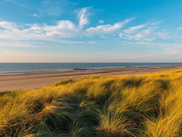 Cherche à louer un appartement à la cote belge en novembre, Immo, Op zoek naar een appartement