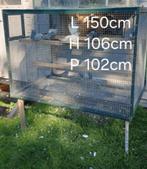 Volière (Namur), Animaux & Accessoires