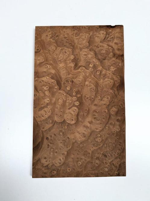 placage Madrona, 27x16 cm, Hobby & Loisirs créatifs, Hobby & Loisirs Autre, Neuf, Envoi
