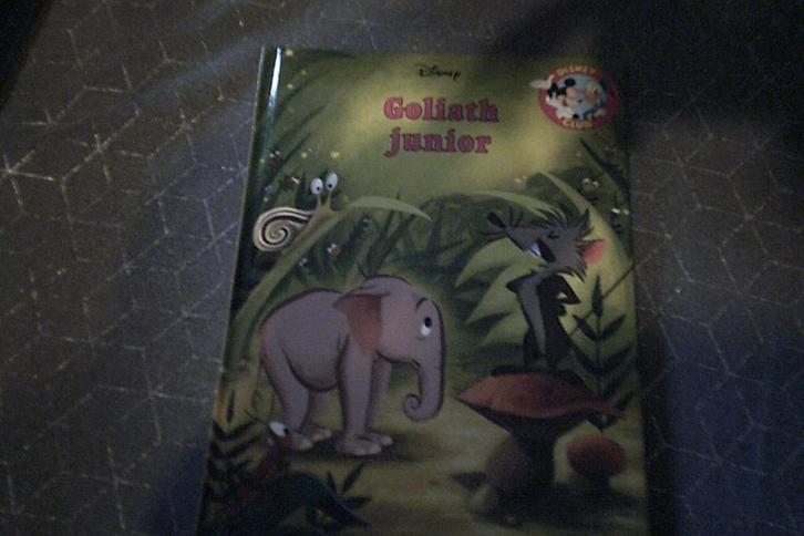 Disney boekenclub glanzende versies, Boeken, Kinderboeken | Jeugd | onder 10 jaar, Nieuw, Sprookjes, Ophalen of Verzenden