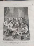 boek: uit de natuurwetenschap//Louis Figuier - 1879- NL, Ophalen of Verzenden