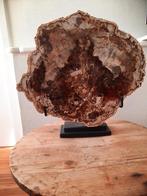 Bois pétrifié gros et lourd sur un support en fer, Enlèvement