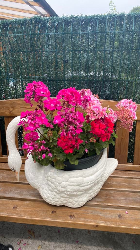 Ancien grand magnifique cygne en plastique des années 60 70