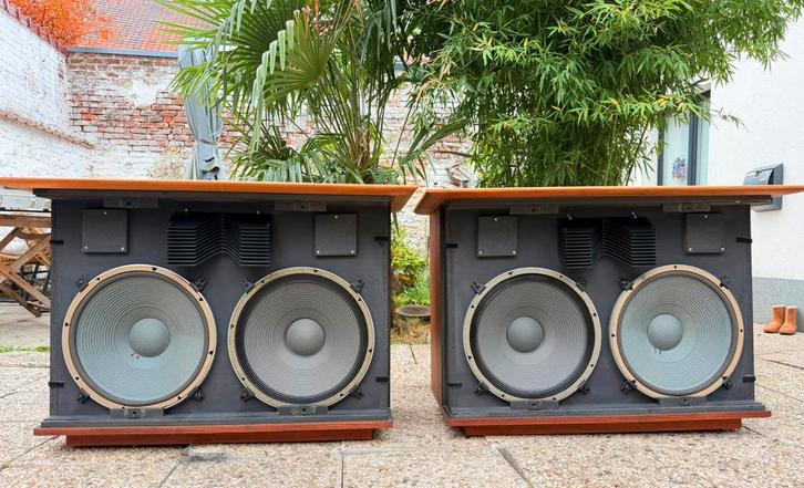 JBL C50 Olympus, Audio, Tv en Foto, Luidsprekerboxen, Zo goed als nieuw, Front, Rear of Stereo speakers, 120 watt of meer, JBL