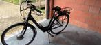 Elektrische fiets Minerva, Fietsen en Brommers, Nieuw, Overige merken, 50 km per accu of meer, Ophalen