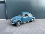 Volkswagen 1200 Coccinelle 1961 Dickholmer, Autos, Achat, Beige, 2 portes, Particulier