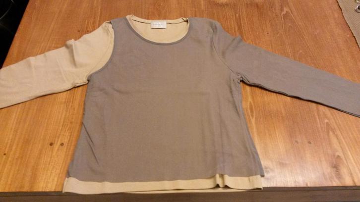 Volledig nieuwe t-shirt, Kleding | Dames, T-shirts, Nieuw, Maat 42/44 (L), Bruin, Lange mouw, Ophalen