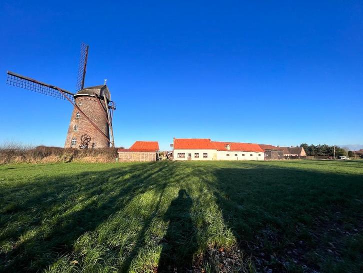 WINDMOLEN, Immo, Buitenland, Frankrijk, Overige soorten, Landelijk