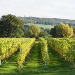 GEZOCHT: 1 hectare landbouwgrond te pachten rond Gellik, Lanaken, 1500 m² of meer