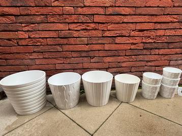 Lot bloempotten Ikea Kardemumma beschikbaar voor biedingen