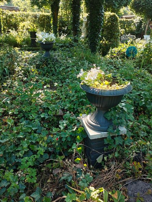 Tuinvaas met vaste plant  10 stks. Te Turnhout, Tuin en Terras, Tuinvazen, Zo goed als nieuw, Ophalen