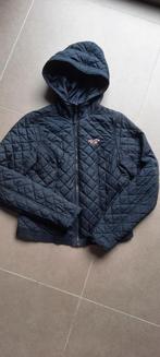 jas Hollister maat L, Kleding | Dames, Jassen | Winter, Blauw, Maat 42/44 (L), Ophalen of Verzenden, Gedragen